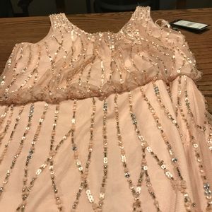 Adrianna Papell Pink Sequin Dress